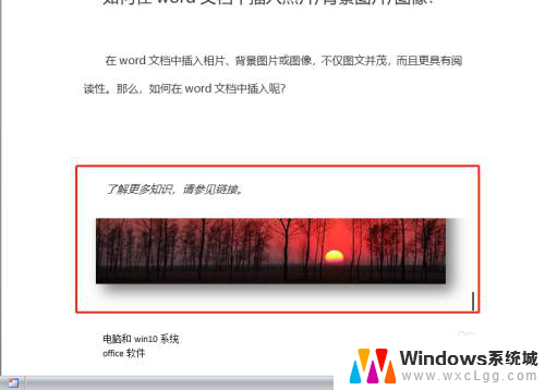 图片放word无法完整显示怎么办 Word文档插入图片不显示怎么办