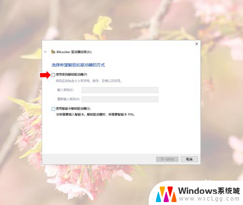 磁盘加锁怎么解除 Windows10系统磁盘加密解密教程