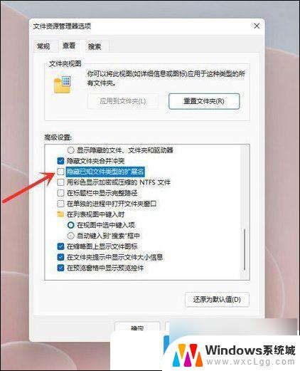 怎么让文件显示后缀名win11 Win11文件扩展名显示设置方法