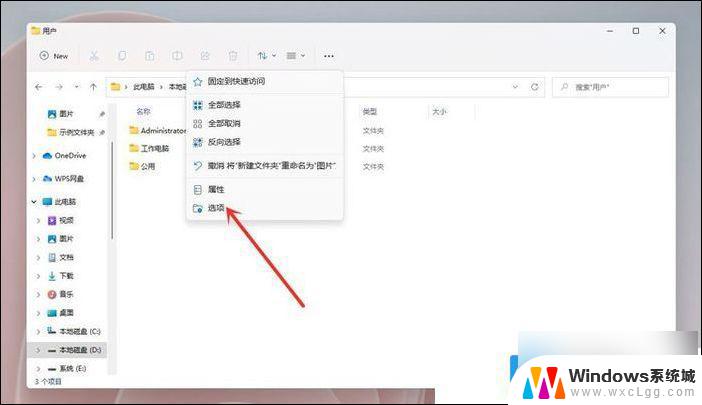 怎么让文件显示后缀名win11 Win11文件扩展名显示设置方法