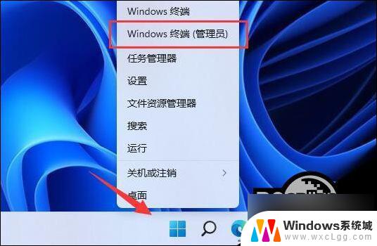 win11怎么装微软商店 Win11 Microsoft Store 安装步骤详解