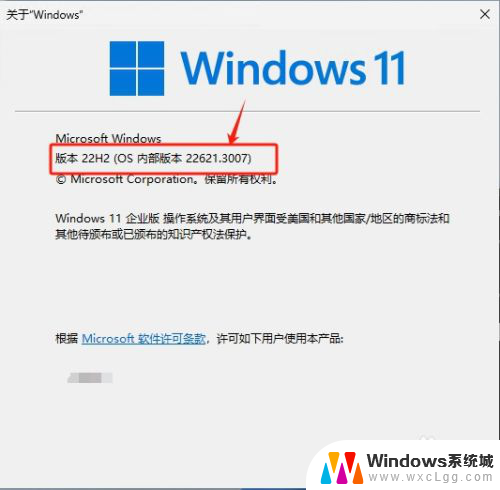 如何win11查看系统版本 win11系统版本号如何查看