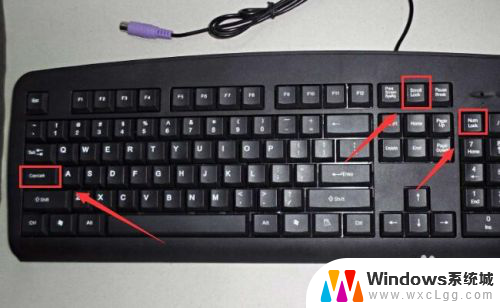 键盘插主机上没反应灯也不亮 电脑键盘指示灯不亮解决方法