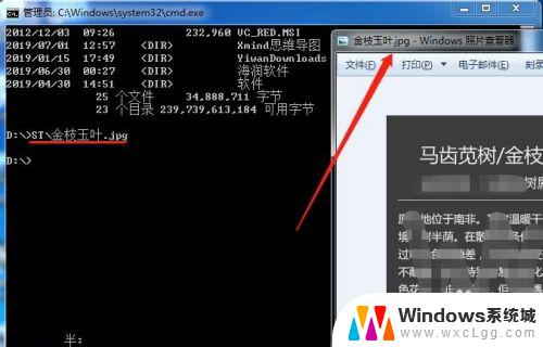 windows命令显示目录所有文件 windows终端cmd命令下如何查看文件夹