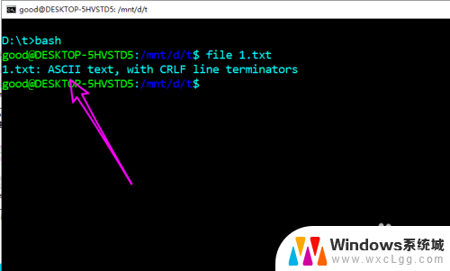 文件的编码格式在哪看 win10文本文件编码格式查看方法