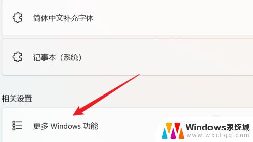 启动或关闭windows功能在哪打开 WIN11系统的Windows功能如何启用或关闭