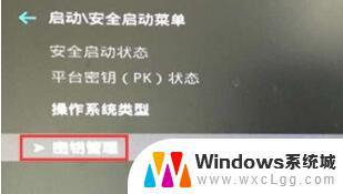 win11升级安全启动怎么开启 如何在各类主板电脑上开启Win11的安全启动功能