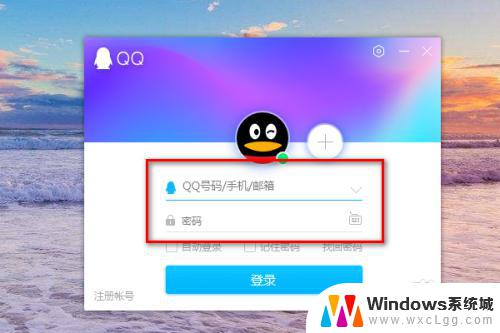 qq登录界面怎么显示密码 电脑QQ密码设置在哪里