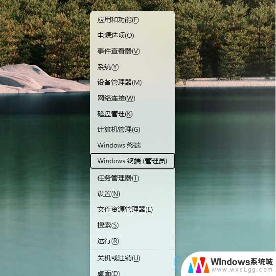 win11微软商店打开闪退 Win11应用商店打开闪退解决方法