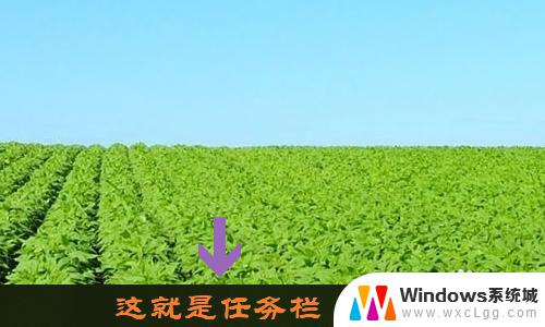 win10如何切换到桌面 win10怎样快速切换到电脑桌面快捷键