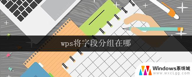 wps将字段分组在哪 如何在wps表格中将字段进行分类分组