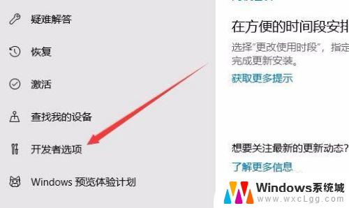 win10开发者模式怎么开 Win10如何打开开发者选项