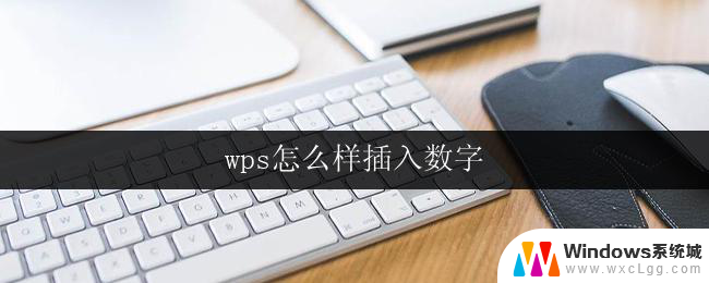 wps怎么样插入数字 wps怎么样插入数字序号