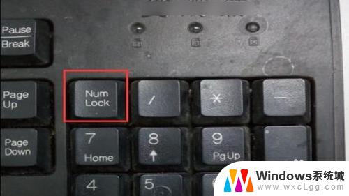 电脑键盘锁了怎么办笔记本 电脑键盘被锁了怎么打开