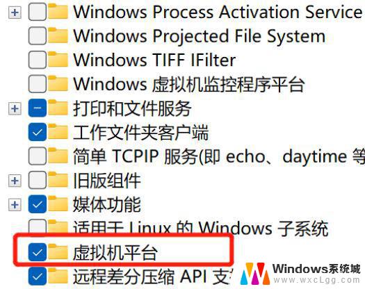 win11已启动vmware就蓝屏 Win11运行VMware蓝屏解决方法