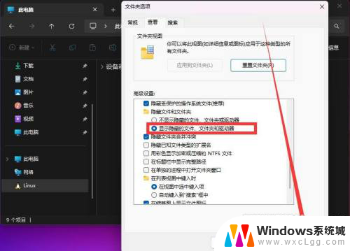 win11如何显示c盘的隐藏文件 win11怎么打开隐藏文件