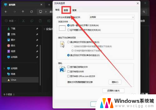 win11如何显示c盘的隐藏文件 win11怎么打开隐藏文件