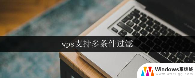 wps支持多条件过滤 wps多条件过滤功能