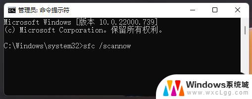 win11点搜索没反应 Win11搜索此电脑点不动