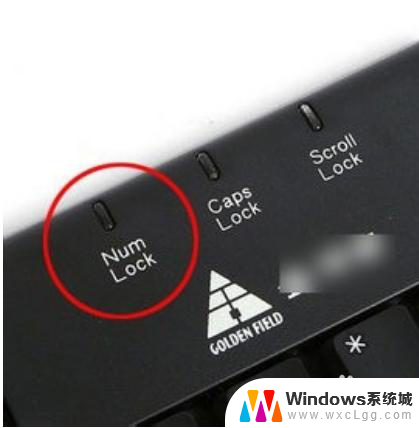 mac的上键为什么没有下键好按 电脑键盘上下左右键无效怎么办