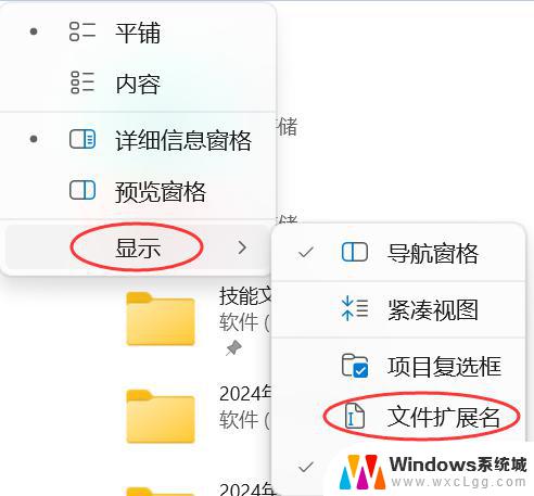 win11怎么更改文件格式后缀名 win11文件后缀名修改步骤