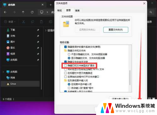 win11中文件如何显示文件类型 Win11文件类型的后缀名如何显示