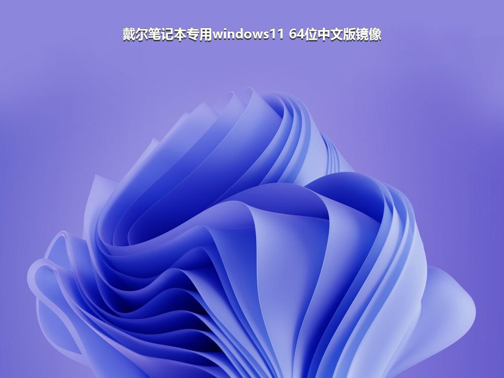 戴尔笔记本专用windows11 64位中文版镜像