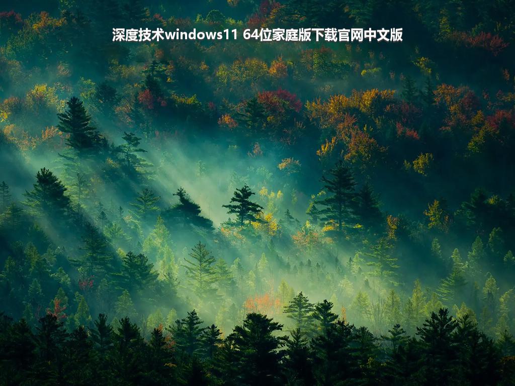 深度技术windows11 64位家庭版下载官网中文版