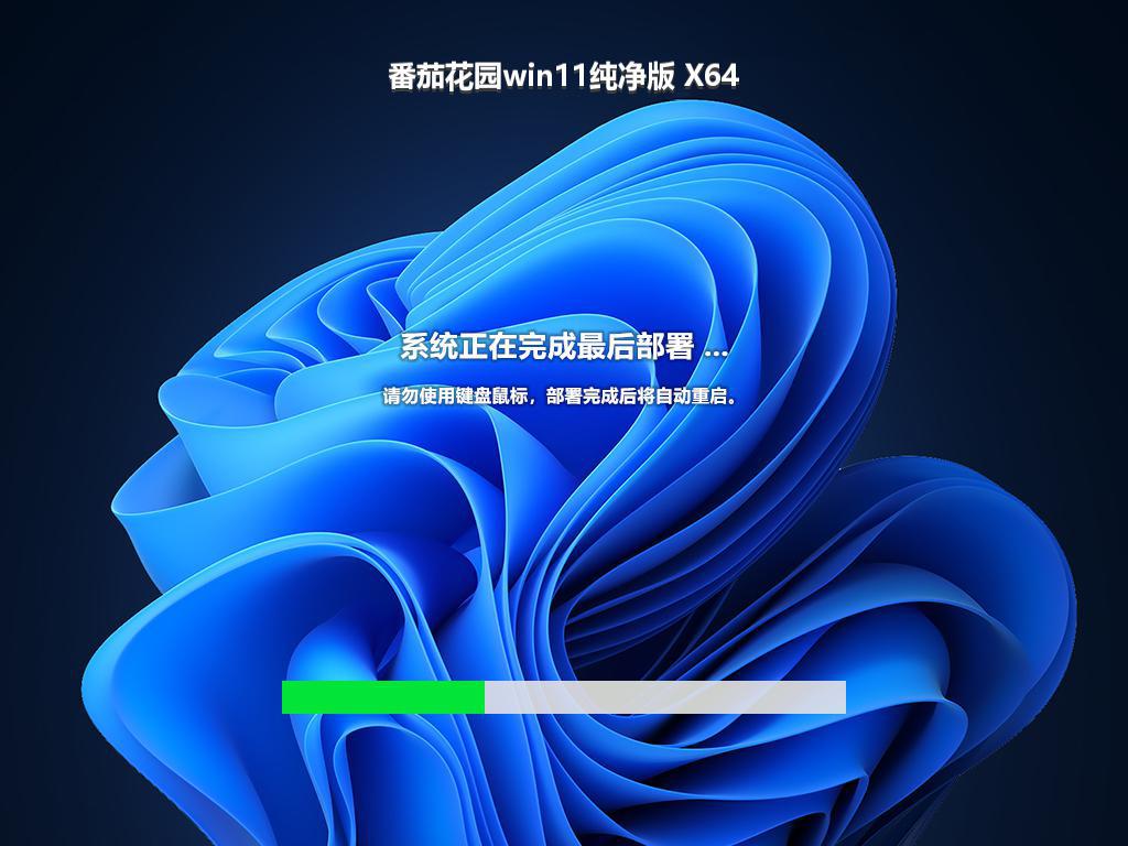 番茄花园win11纯净版 X64