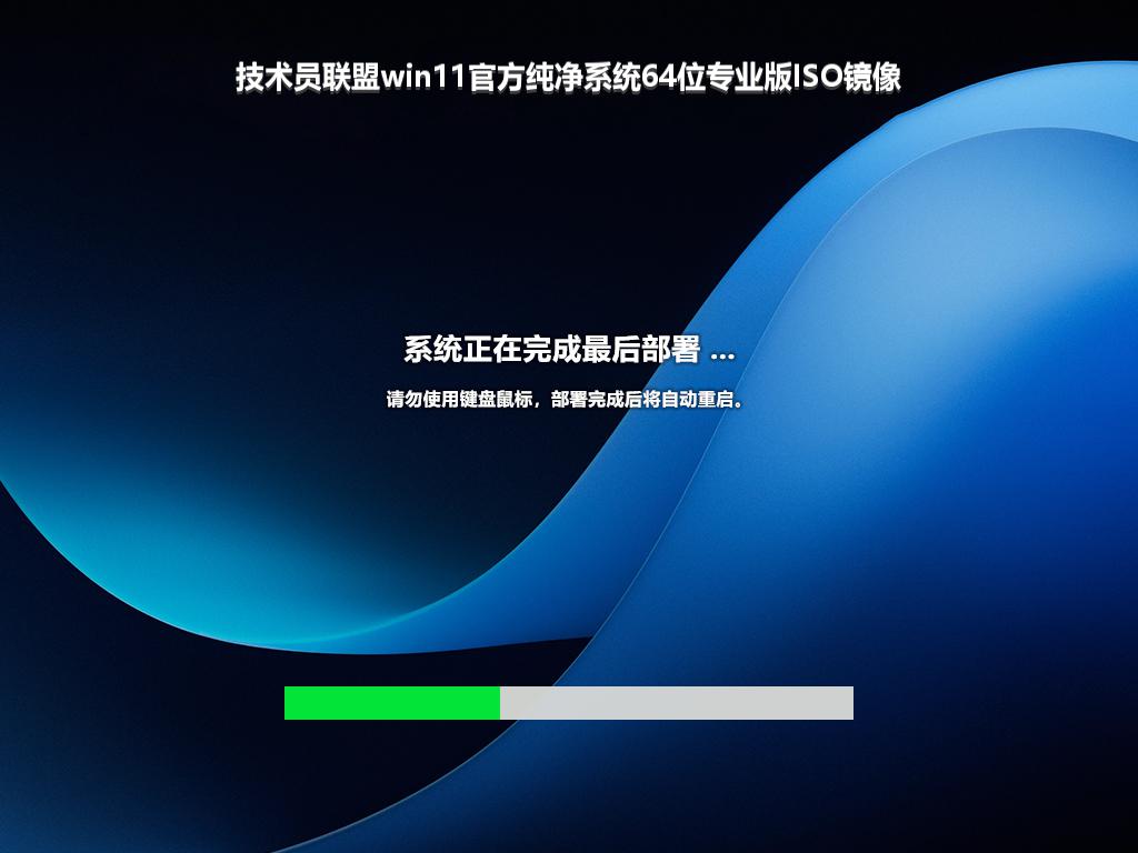 技术员联盟win11官方纯净系统64位专业版ISO镜像