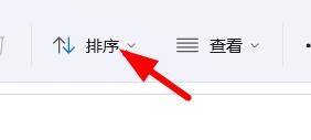 windows11怎么手动排序文件 Win11如何按文件类型进行文件排序