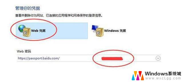 windows11输入网络凭据 Win11网络凭据账户密码如何查看
