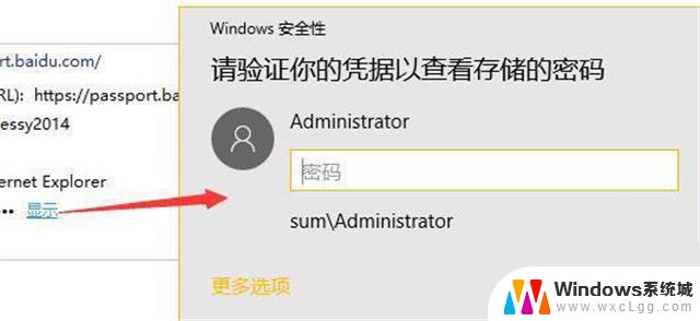 windows11输入网络凭据 Win11网络凭据账户密码如何查看