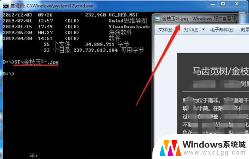 windows cmd查看文件内容 windows终端cmd命令查看文件夹及文件