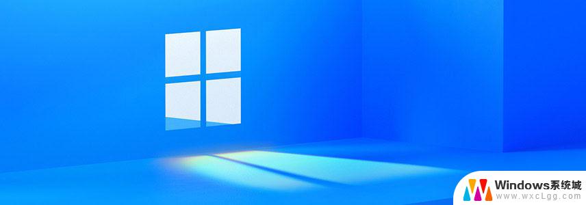 win11专业版是哪个版本 Windows 11家庭版和专业版功能对比