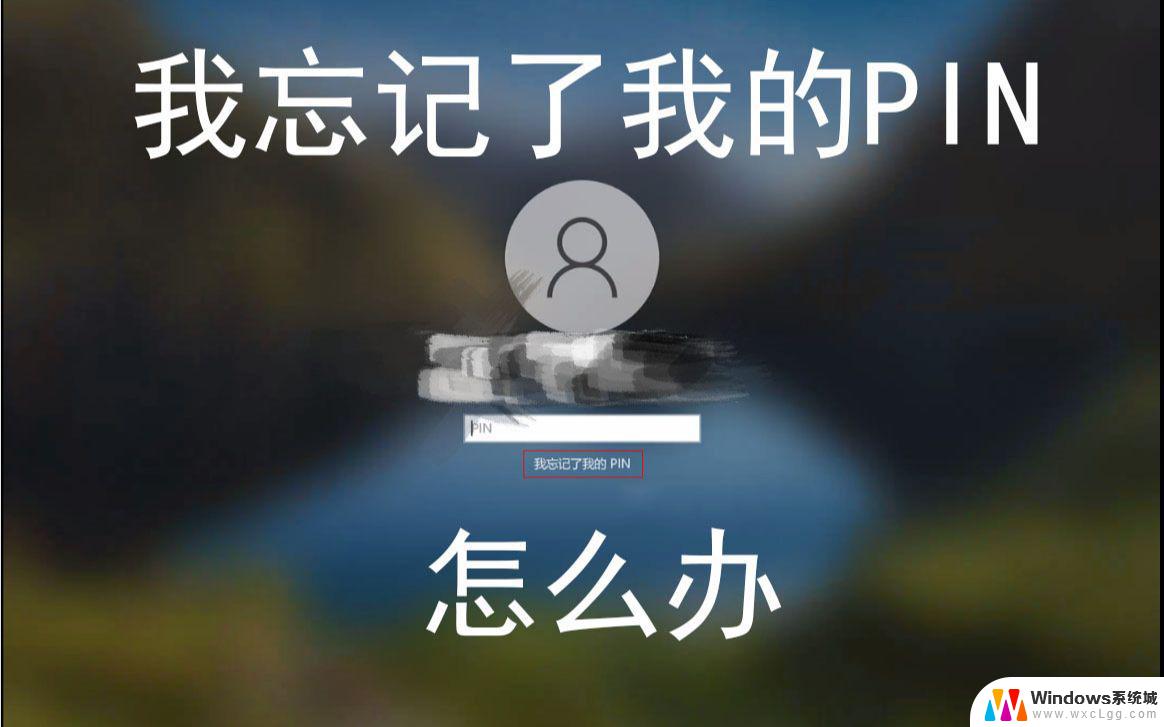 win11的pin码忘记了 win11pin码忘了找回步骤