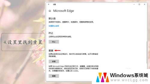 microsoft edge闪退如何修复 Win10 Edge浏览器闪退解决方法