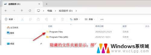 win11隐藏文件设置 Win11隐藏文件怎么显示