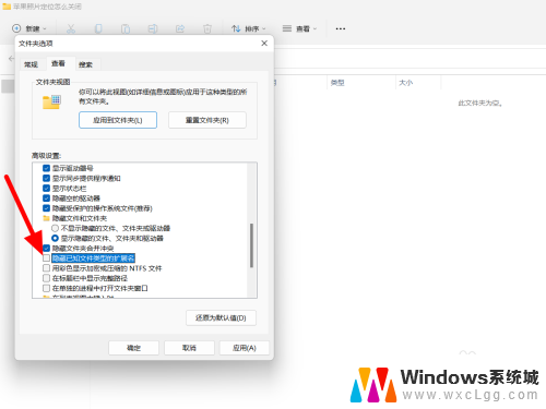 win11不显示后缀名 win11文件后缀名不显示设置