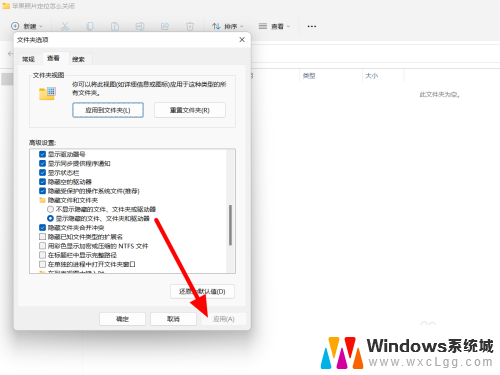 win11不显示后缀名 win11文件后缀名不显示设置