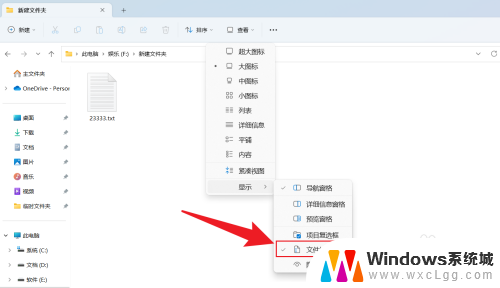 win11怎么打开文件扩展名 Win11显示文件拓展名的方法