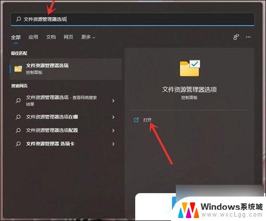 win11设置显示文件名后缀 Win11文件扩展名显示设置方法